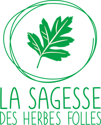 logo “La sagesse des herbes folles”